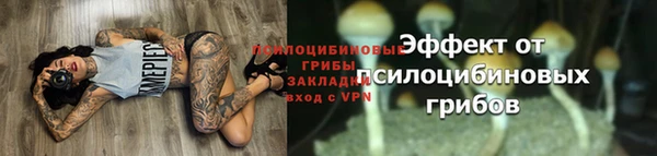 герыч Мегион