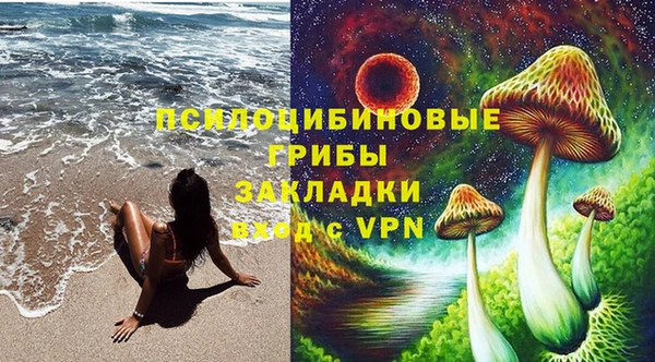 герыч Мегион