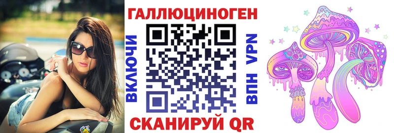 сколько стоит  ОМГ ОМГ вход  Псилоцибиновые грибы мицелий  Темников 