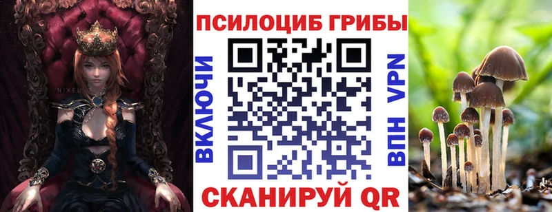 Псилоцибиновые грибы мицелий Темников